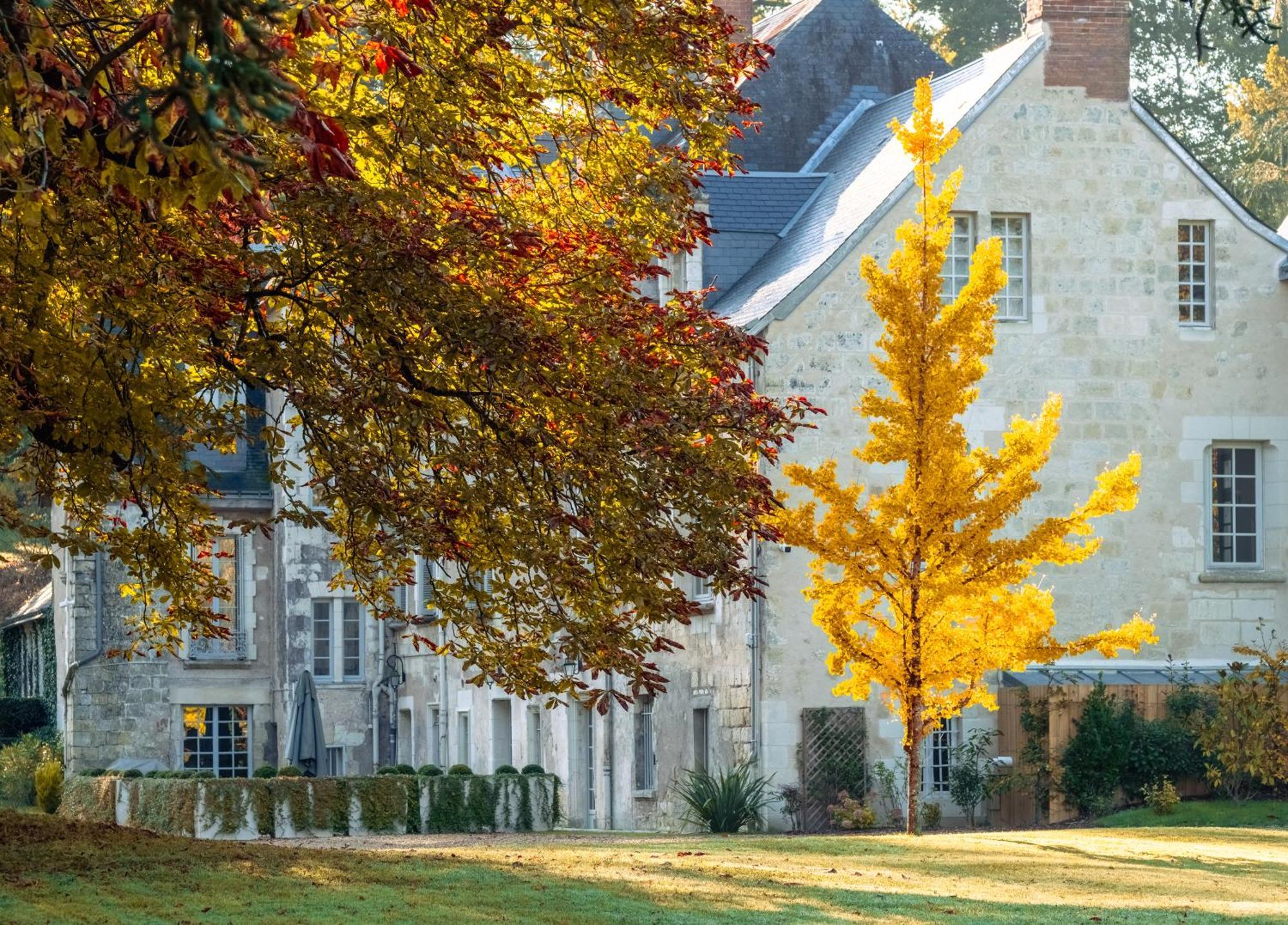 Domaine De La Commanderie De Ballan Exteriör bild